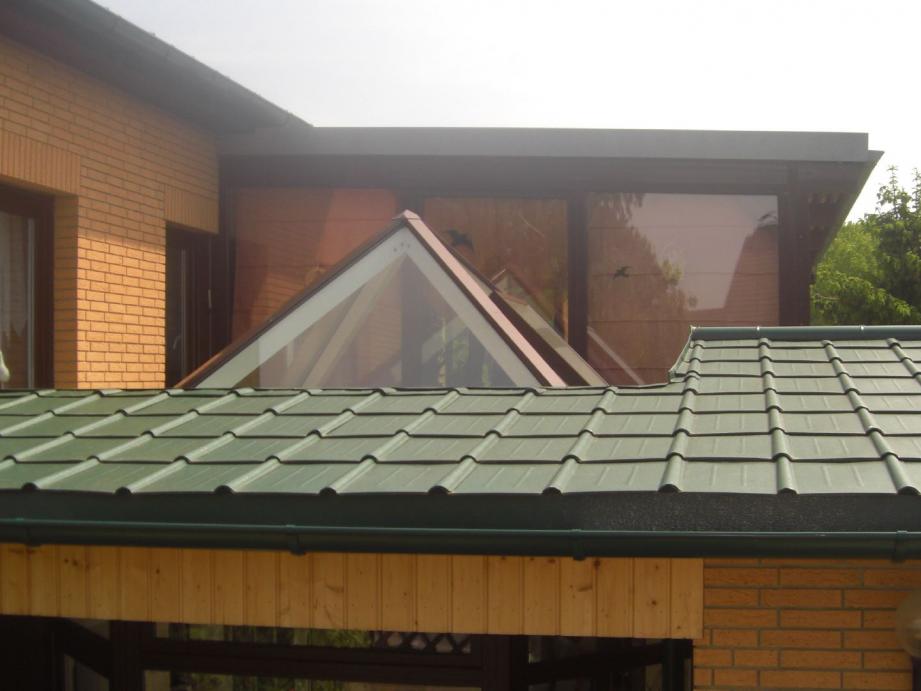 dachverglasung